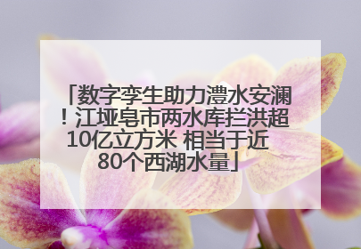 数字孪生助力澧水安澜！江垭皂市两水库拦洪超10亿立方米 相当于近80个西湖水量