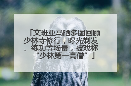 文班亚马晒多图回顾少林寺修行，曝光剃发、练功等场景，被戏称“少林第一高僧”
