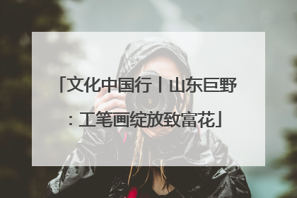 文化中国行丨山东巨野：工笔画绽放致富花