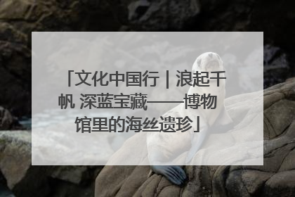 文化中国行｜浪起千帆 深蓝宝藏——博物馆里的海丝遗珍
