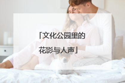 文化公园里的花影与人声