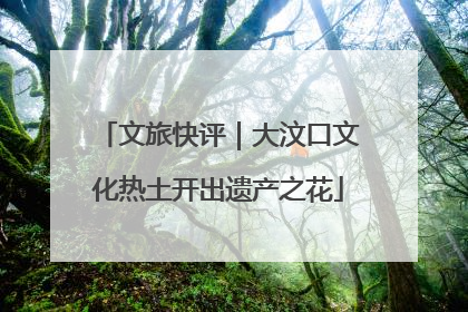 文旅快评｜大汶口文化热土开出遗产之花