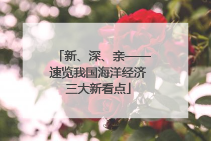 新、深、亲——速览我国海洋经济三大新看点