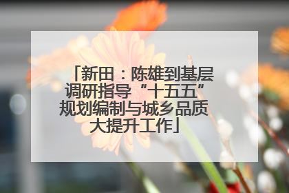 新田：陈雄到基层调研指导“十五五”规划编制与城乡品质大提升工作