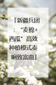 新疆兵团：“麦棉+西瓜”高效种植模式奏响致富曲