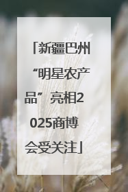 新疆巴州“明星农产品”亮相2025商博会受关注
