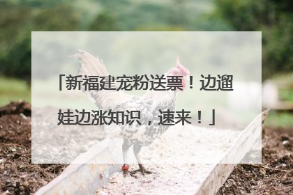 新福建宠粉送票！边遛娃边涨知识，速来！
