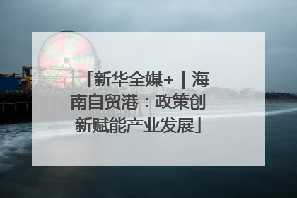 新华全媒+｜海南自贸港：政策创新赋能产业发展
