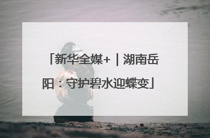 新华全媒+｜湖南岳阳：守护碧水迎蝶变