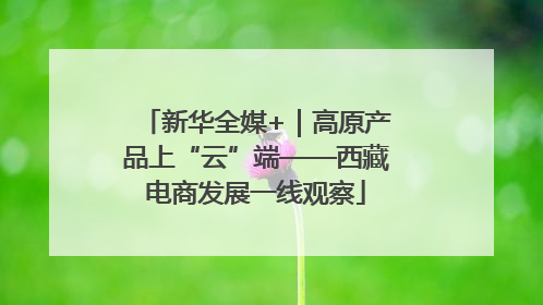新华全媒+｜高原产品上“云”端——西藏电商发展一线观察