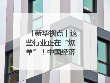 新华视点｜这些行业正在“爆单”！中国经济活力密码