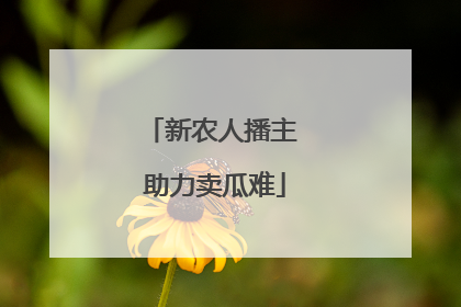 新农人播主 助力卖瓜难