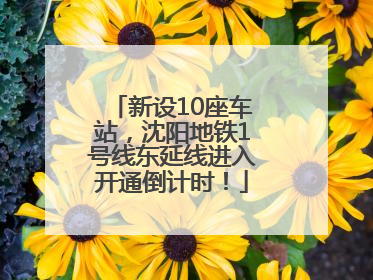 新设10座车站，沈阳地铁1号线东延线进入开通倒计时！