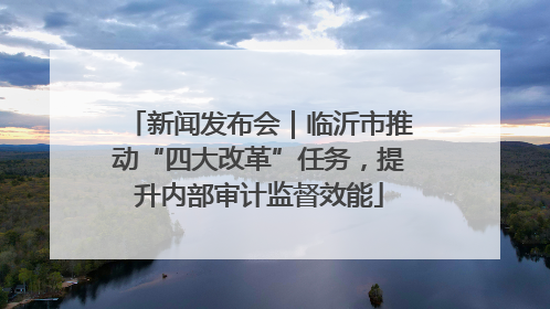 新闻发布会｜临沂市推动“四大改革”任务，提升内部审计监督效能