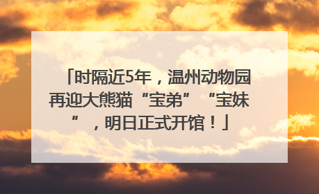 时隔近5年，温州动物园再迎大熊猫“宝弟”“宝妹”，明日正式开馆！