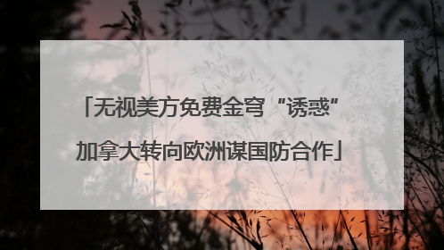 无视美方免费金穹“诱惑” 加拿大转向欧洲谋国防合作