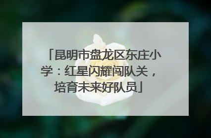 昆明市盘龙区东庄小学：红星闪耀闯队关，培育未来好队员