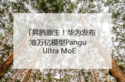 昇腾原生！华为发布准万亿模型Pangu Ultra MoE模型架构和训练细节