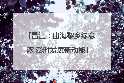 昌江：山海黎乡绿意浓 澎湃发展新动能