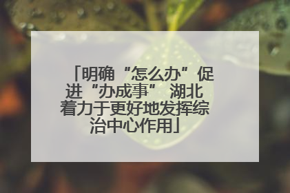 明确“怎么办”促进“办成事” 湖北着力于更好地发挥综治中心作用