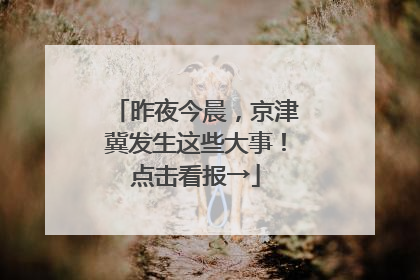 昨夜今晨，京津冀发生这些大事！点击看报→
