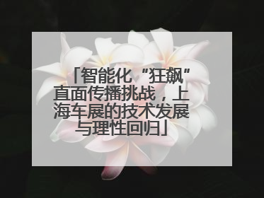 智能化“狂飙”直面传播挑战，上海车展的技术发展与理性回归