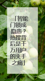 智能门锁成隐患？热搜背后是千万用户的夹手之痛