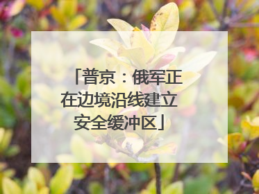 普京：俄军正在边境沿线建立安全缓冲区