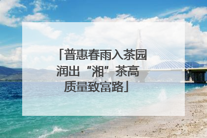 普惠春雨入茶园 润出“湘”茶高质量致富路