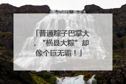 普通粽子巴掌大，“横县大粽”却像个巨无霸！