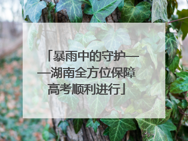 暴雨中的守护——湖南全方位保障高考顺利进行