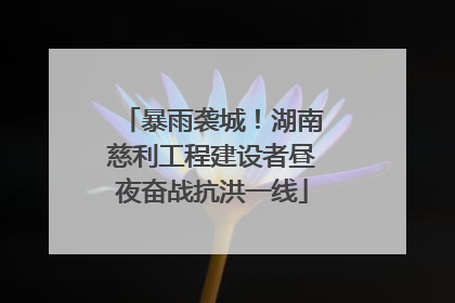 暴雨袭城！湖南慈利工程建设者昼夜奋战抗洪一线