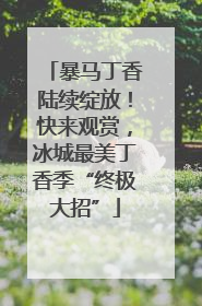 暴马丁香陆续绽放！快来观赏，冰城最美丁香季“终极大招”