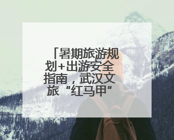 暑期旅游规划+出游安全指南，武汉文旅“红马甲”闪耀高招会