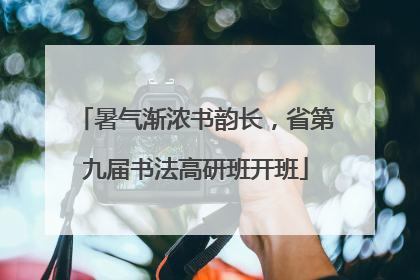 暑气渐浓书韵长，省第九届书法高研班开班