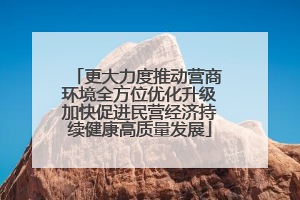 更大力度推动营商环境全方位优化升级加快促进民营经济持续健康高质量发展