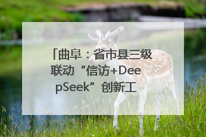 曲阜：省市县三级联动“信访+DeepSeek”创新工作新闻发布会举行