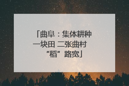 曲阜：集体耕种一块田 二张曲村“稻”路宽
