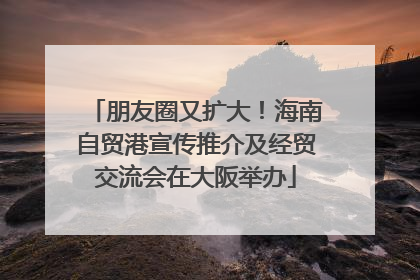 朋友圈又扩大！海南自贸港宣传推介及经贸交流会在大阪举办