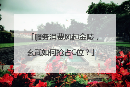 服务消费风起金陵，玄武如何抢占C位？