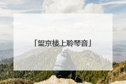 望京楼上聆琴音