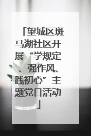 望城区斑马湖社区开展“学规定、强作风、践初心”主题党日活动