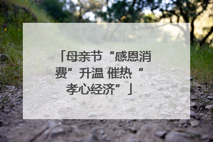 母亲节“感恩消费”升温 催热“孝心经济”