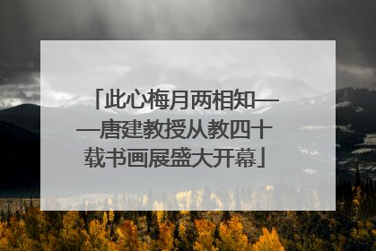 此心梅月两相知——唐建教授从教四十载书画展盛大开幕