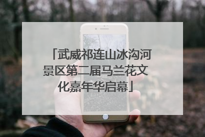 武威祁连山冰沟河景区第二届马兰花文化嘉年华启幕