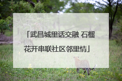 武昌城里话交融 石榴花开串联社区邻里情