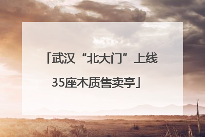 武汉“北大门”上线35座木质售卖亭