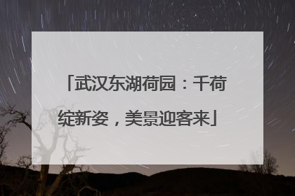 武汉东湖荷园：千荷绽新姿，美景迎客来