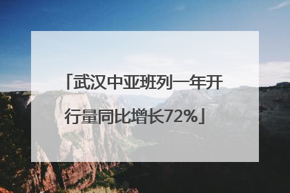 武汉中亚班列一年开行量同比增长72%