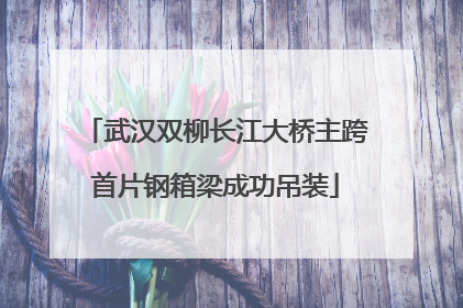 武汉双柳长江大桥主跨首片钢箱梁成功吊装
